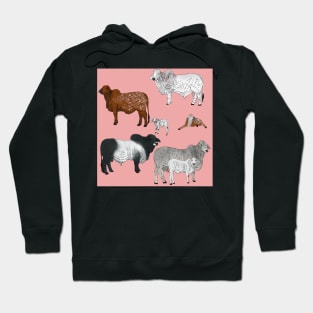 Brahman Cattle Pink Hoodie